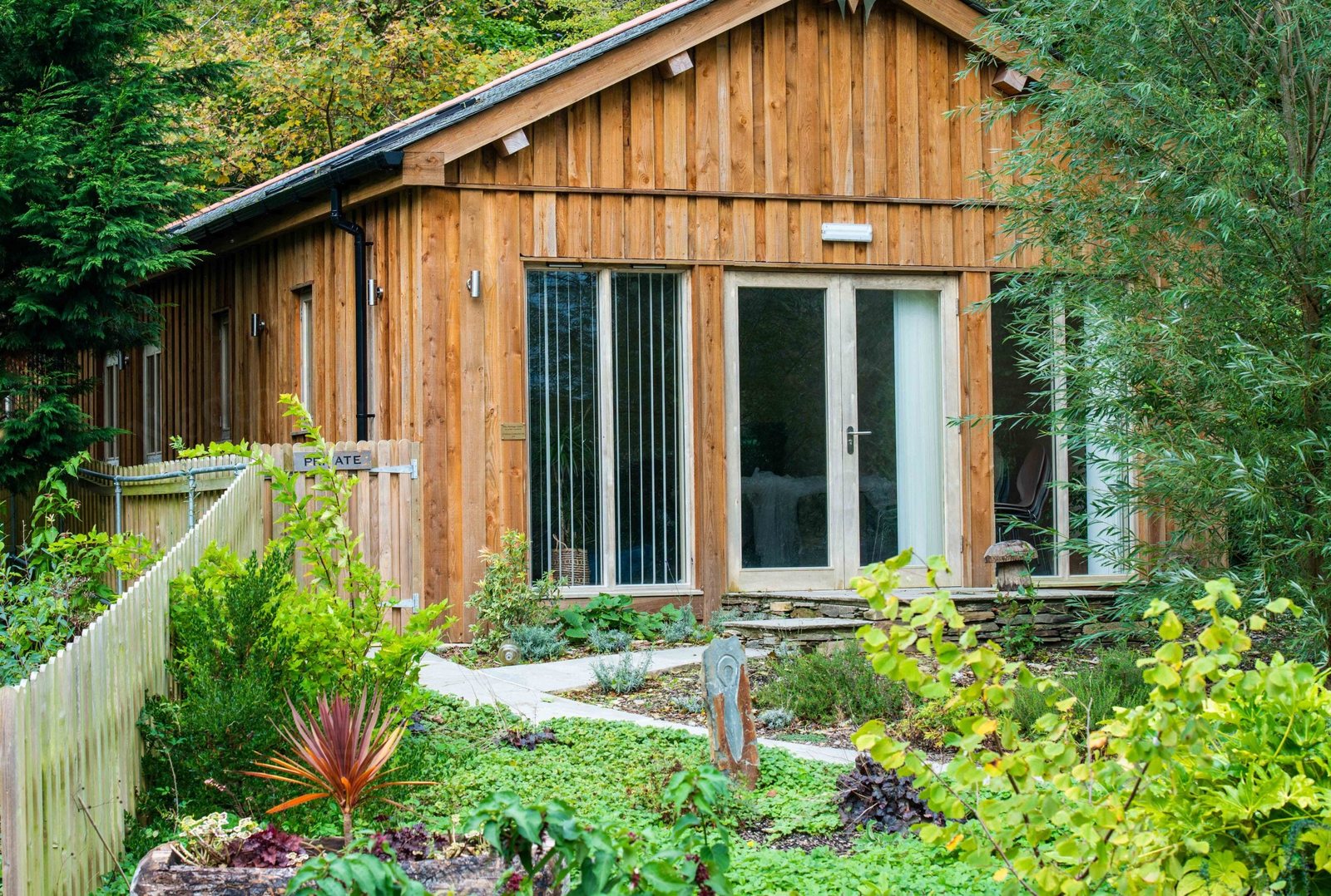 The timber-clad studio building from the garden, surrounded by trees and planting